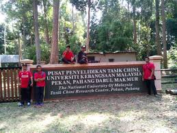 Penyelidikannya mendapati lokasi itu kaya dengan flora dan fauna. Kerja Lapangan Air Tasik Chini Story Of My Life