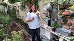 We did not find results for: Garden Hack Best Way To Get Rid Of Pill Bugs Organically Youtube