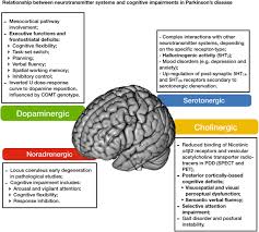Regarder des films en streaming complet sur votre smart tv, console de jeu, pc, mac, smartphone, tablette et bien plus. Cognitive Impairment In Parkinson S Disease A Clinical And Pathophysiological Overview Sciencedirect