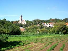 Vue Sur Le Vieux Pays En 2020 Goussainville Pays Jour J