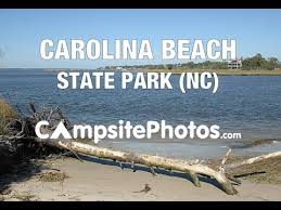 State parks • bodies of water. Carolina Beach State Park North Carolina Campsite Photos Youtube