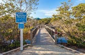 The 15 Best Hiking Trails In Florida Hiking In Florida Hiking Florida