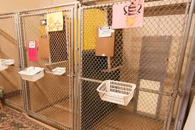 Most shops offer grooming, training, boarding, and veterinary services. The Dogtel Hotel Ocean City Md Luxury Pet Boarding