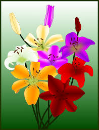 Here you will get all types of png images with transparent background. Fiori Flowers Flowers For Bookart Png Picpng