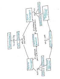Match the phrases on the left with the term that best fits. Homeostasis Cell Transport Concept Map With Answer Key By Edwards Science