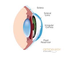 Image result for Sclera