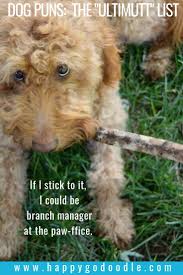 50 Dog Puns The Ultimutt List To Make You Smile Or Grrrroan Dog Puns Smiling Dogs Dog List