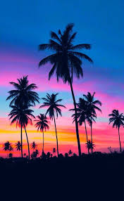 Summer Beach And Palm Trees Image Summer Sunset Pictures Sunset Pictures Sunset Photography