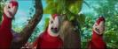 rio 2 cast parrots birds