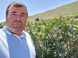 Kilis'te Doğal Sumak Mevsimi Başladı