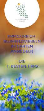 Blumenzwiebeln Zum Verwildern Stilvolles Design Einfach Gepflanzt Blumenzwiebeln Staudenbeet Rasen Anlegen