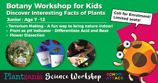 3 easy steps to build your content strategy i'm a firm believer in the notion that editorial judgment augments automated search. Botany Workshop For Kids Plantzania Sdn Bhd