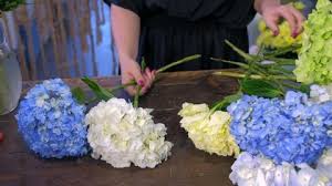 The tightly packed, pure white florets create very full, conical panicles with a unique 'quilted' effect. Floral Business Concept Florist Woman Stock Footage Video 100 Royalty Free 1038903134 Shutterstock
