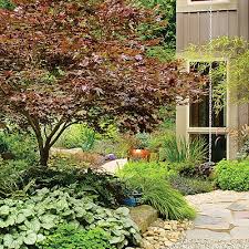 Year Round Foliage Plants Japanese Garden Design Garden Design Modern Landscaping