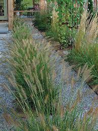 For longer borders, the design may be easily extended by increasing the number of plants of each kind or repeating the design. Designing With Grasses Finegardening