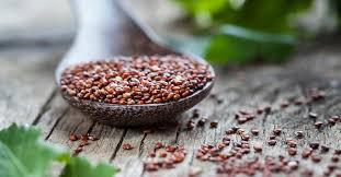 Grains have been a staple of the human diet for the last, oh, 10,000 years. Red Quinoa Nutrition Benefits And How To Cook It