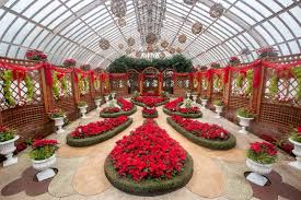 Explore the beauty and wonders of nature at phipps conservatory and botanical gardens. Experiencing Christmas At Phipps Conservatory In Pittsburgh Uncovering Pa