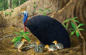 Baby Animals Who Do Not Look Like Their Parents - Ppt Video Online Download