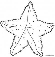 With a few crayons, your child can transform this black and white starfish into a beautiful creature. Starfish Coloring Page Free Starfish Coloring Page Coloring Pages For Kids Fish Coloring Pages