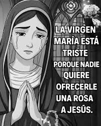 Gracias Señor Por el día que inicia, por la vida que me das, por el pan de  cada día, por el techo que me protege y por la familía que me diste. ¡