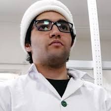 I had the honour of meeting and chatting for a few hours with Brian a  couple of years ago along with John Wehr , his former grad student.