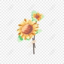 Bunga nasional malaysia, bunga raya atau bunga hibiskus. Gratis Bunga Tangan Ditarik Vektor Bunga Matahari Tanaman Bebas Tangan Png Psd Unduhan Gambar Ukuran 2000 2000px Id 832326314 Lovepik