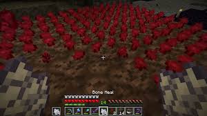 Minecraft: How To Grow Nether Wart