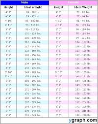 Height To Weight Chart Male Elegant Weight Height Chart Weight Height Diagram Man Weight Height Emoui Average Weight Chart Weight Charts Height To Weight Chart
