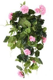 Les plantes fleuries d'intérieur sont nombreuses et donnent la possibilité de fleurir l'intérieur des maisons tout au long de l'année. Plante Fleurie Artificielle Chute De Geranium Decoration D Interieur H 60 Cm Rose