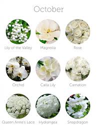 That was top bouquet flowers names with images. White Flowers For Wedding Fashion Dresses