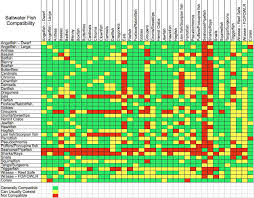 exact fish tank mates chart 2019