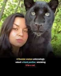 Image result for Panther Black 2002 Puma