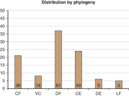 Image result for Subaxial Injury Classification Scale