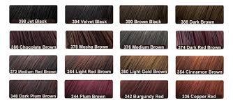 Adore Hair Rinse Color Chart Awesome 9 Best Of Burgundy Plum