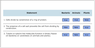 If you need professional help with completing any kind of homework, success essays is the right place to get it. Mastering Biology Chapter 12 Mitosis Flashcards Easy Notecards