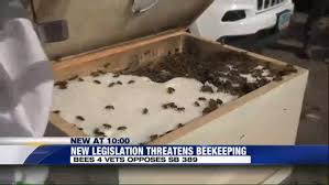 Proposed bill could threaten beekeeping in Nevada