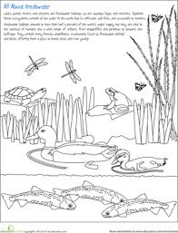 Our free coloring pages for adults and kids, range from star wars to mickey mouse. Color The Freshwater Habitat Worksheet Education Com