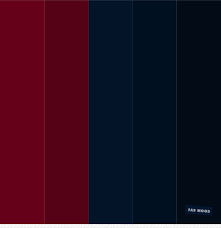 Burgundy And Navy Blue Color Palette