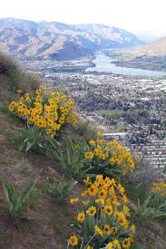 The Beautiful Saddle Rock Overlooking Wenatchee One Of The Best Hikes Around Wenatchee Places To Go Scenery