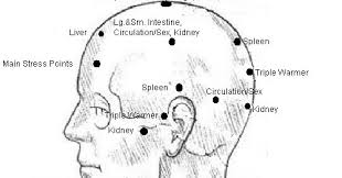 hands on healthy calming stress neurovascular points