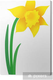 Żonkil — m i, d. Obraz Na Plotnie Zonkil Wielkanoc Kwiat Kwiaty Wiosny Grafiki Wektorowej Pixers Zyjemy By Zmieniac