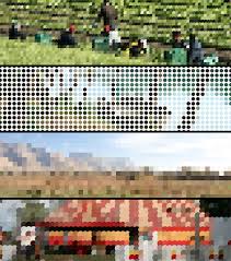 Images split crop pieces puzzle chop portions cut parts divide slice partitionate divvy. Pixeliser Et Pointiller Vos Images A La Volee Avec Seuratjs