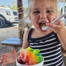 Houston Congenital Heart Walk