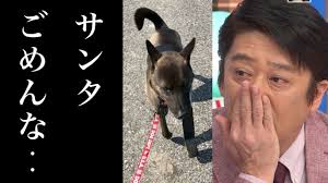 Jan 24, 2018 · 坂上忍の愛犬 筑波サンタ君は3本足のため現在は義足を練習中 サンタ君は、左前足が無いので、3本足で散歩をしています。 サンタ君の犬種は、甲斐犬 ですが、以前は猟犬でいたため、猟弾が原因で3本足になったのではと推測されています。 å½¡ å‚ä¸Šå¿ è¡Œæ–¹ä¸æ˜Žã«ãªã£ãŸç¾©è¶³ã®æ„›çŠ¬ã‚'ç„¡äº‹ä¿è­· 12ç•ªç›®ã®æ¯å­ãŒå¸°é‚„è‡´ã—ã¾ã—ãŸ ã‚ãã‚ããƒ‰ã‚­ãƒ‰ã‚­ã¾ã¨ã‚ãƒ¼ã‚‹