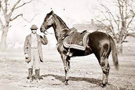 Indian states reflect the diverse history and religion, the craft of each state in india reflects the different culture and tradition. Famous Horse Names In Indian History In Hindi 110 Indian Horse Names With Meanings By Kidadl Famous For Their Beautiful Features And Ambling Gaits These Are Equines That Trot With