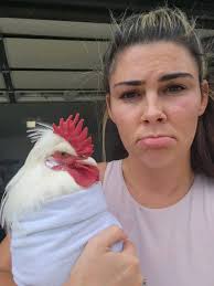 My Sussex Rooster is randomly attacking me. Always sneaks up behind me and  has a good go at me. Does anyone know why? Or a non lethal way of stopping  him from