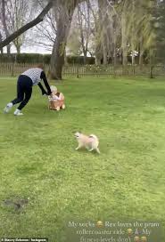 Stacey's dog bit joe on the gooch when he dropped a pepperoni from his pizza on. Stacey Solomon Enjoys The 2 5 Acres Of Land At Her New Essex Home With Pram Rollercoaster Ride Duk News