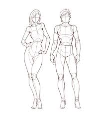 Stephen w leslie, md, facs. Male And Female Anatomy Reference Guide Drawi