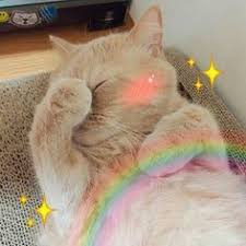 Dia memiliki humor lucu untuk semua orang, sarkastik, dan tidak pernah melewatkan kesempatan untuk mengeluh atas tindakan natsume. Meme Kucing Lucu Meme Kucing Cute Animals With Funny Captions Cute Animals Cute Cats