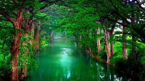 16 Nature Wallpaper 4k For Laptop Basty Wallpaper If an exact resolution is not available you can. 16 nature wallpaper 4k for laptop